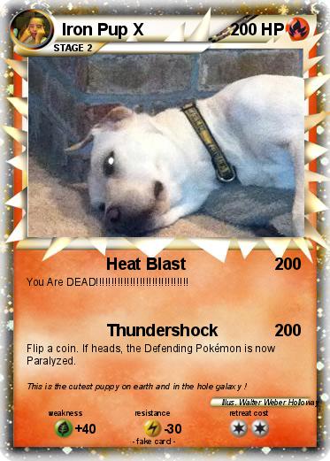 Pokemon Iron Pup X