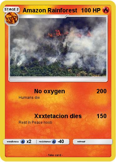 Pokemon Amazon Rainforest