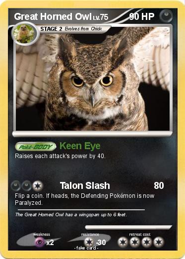 Pokemon Great Horned Owl