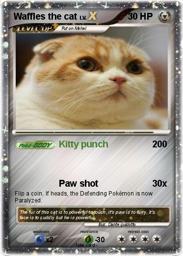 Pokemon Waffles the cat