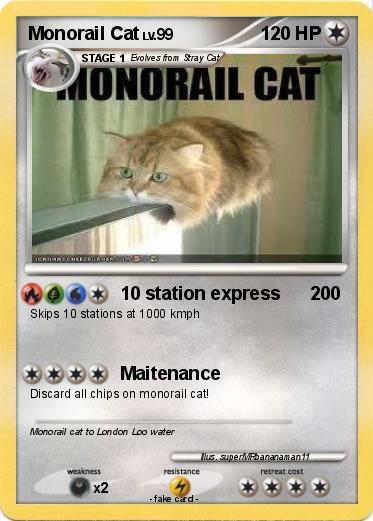 Pokemon Monorail Cat