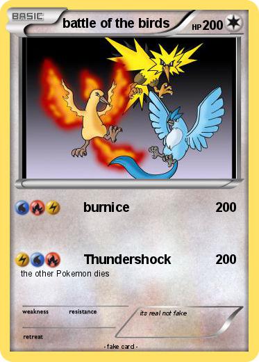 Pokemon battle of the birds