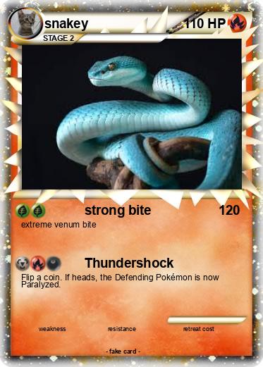 Pokemon snakey