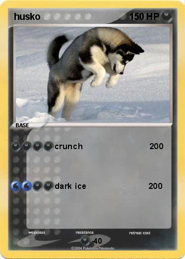 Pokemon husko