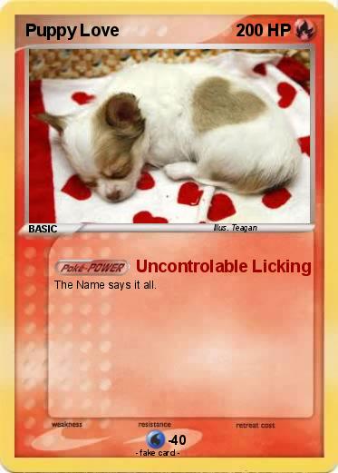 Pokemon Puppy Love