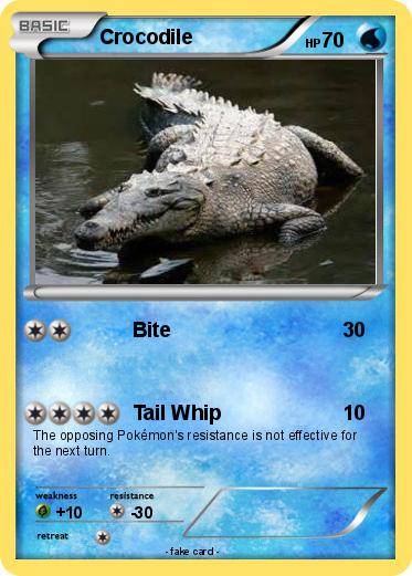 Pokemon Crocodile