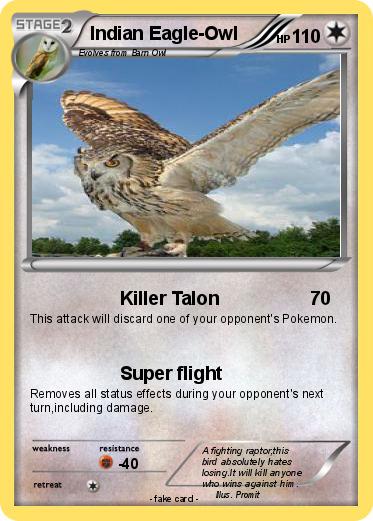 Pokemon Indian Eagle-Owl