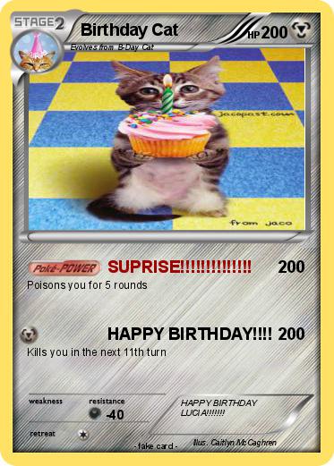 Pokemon Birthday Cat