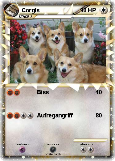 Pokemon Corgis