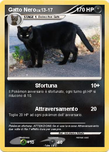 Pokemon Gatto Nero