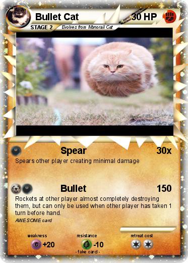 Pokemon Bullet Cat