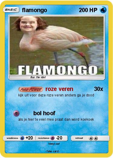 Pokemon flamongo