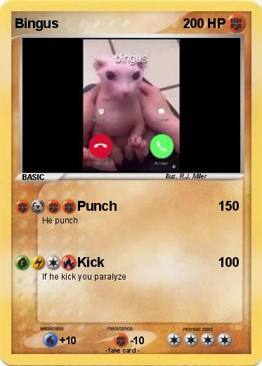 Pokemon Bingus