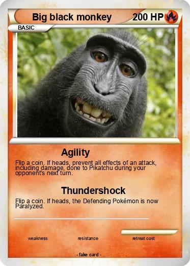 Pokemon Big black monkey Pokemon Big black monkey