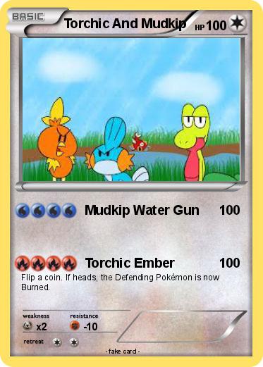 Pokemon Torchic And Mudkip