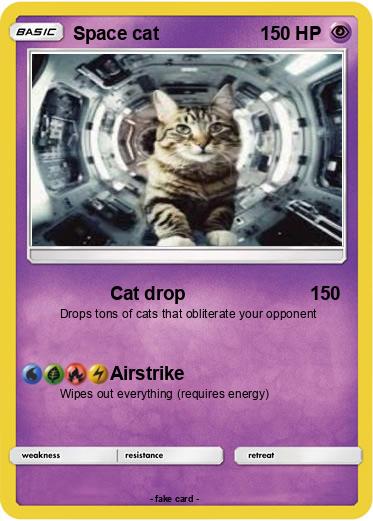 Pokemon Space cat
