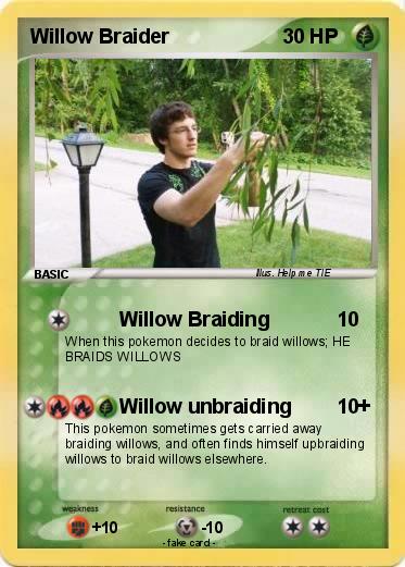 Pokemon Willow Braider