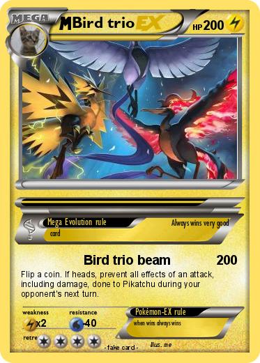 Pokemon Bird trio