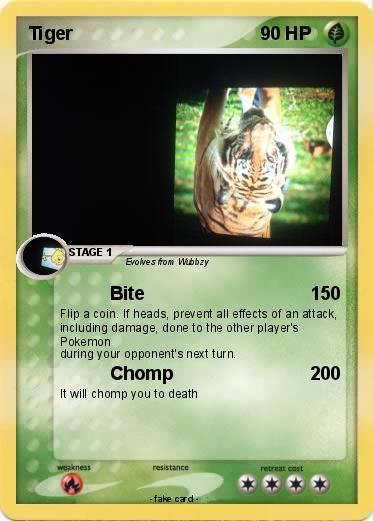Pokemon Tiger