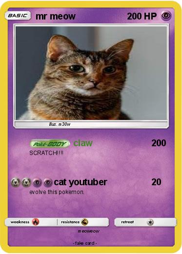 Pokemon mr meow