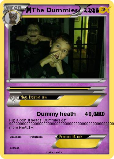 Pokemon The Dummies   2222