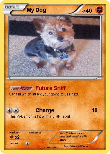 Pokemon My Dog