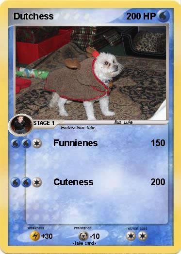 Pokemon Dutchess
