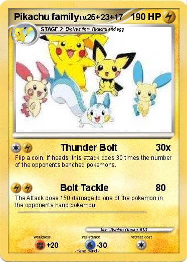 Pokemon Pikachu family