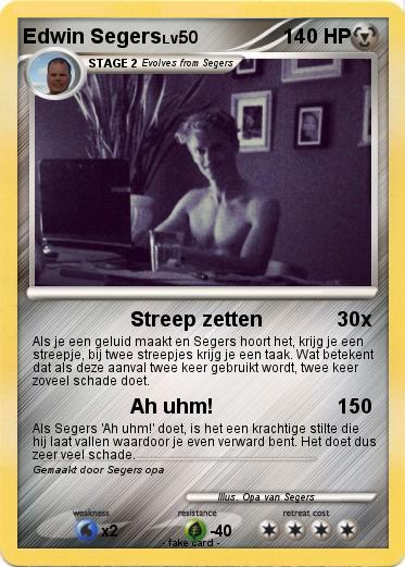 Pokemon Edwin Segers