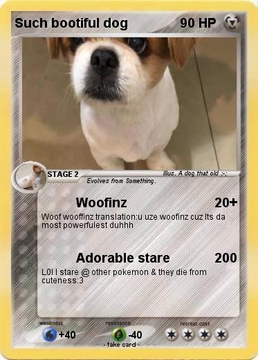 Pokemon Such bootiful dog