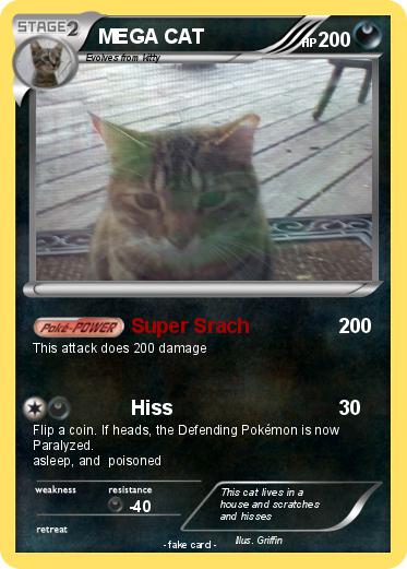 Pokemon MEGA CAT