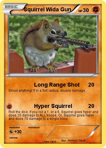 Pokemon Squirrel Wida Gun