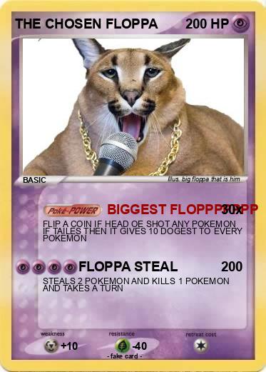 Pokemon THE CHOSEN FLOPPA