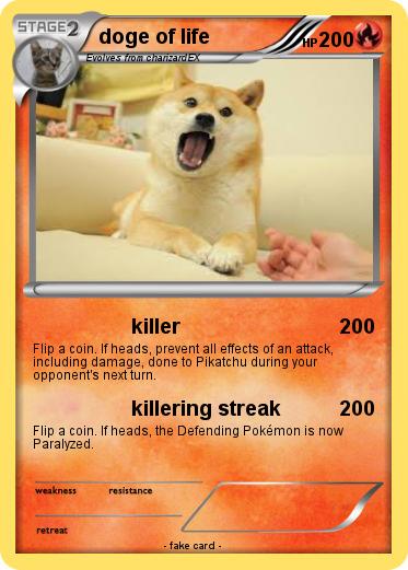 Pokemon doge of life