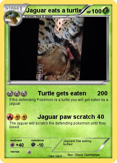 Pokemon Jaguar eats a turtle