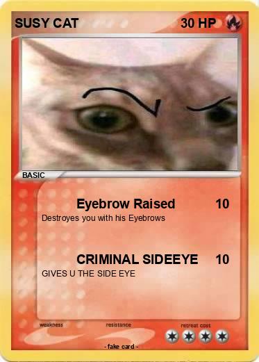 Pokemon SUSY CAT