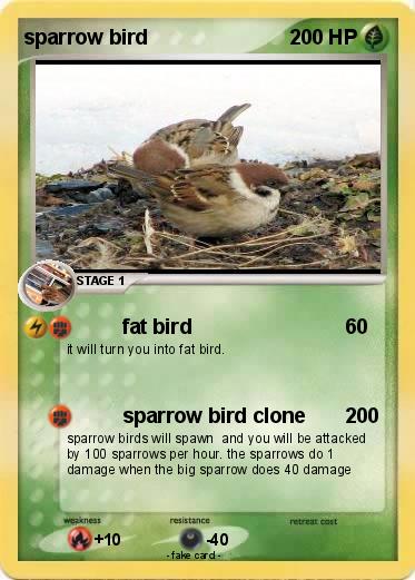 Pokemon sparrow bird