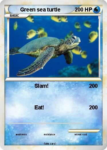 Pokemon Green sea turtle