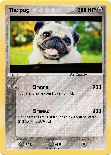 Pokemon The pug
