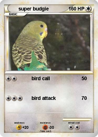 Pokemon super budgie