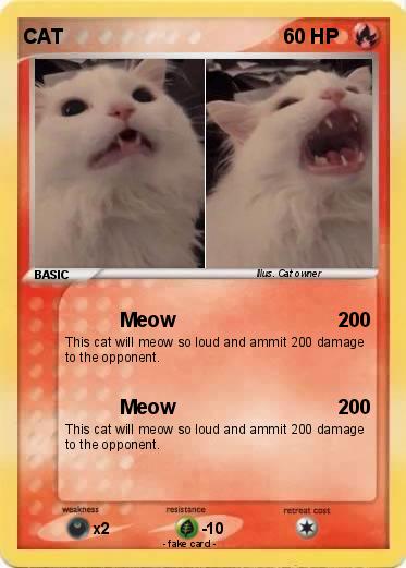 Pokemon CAT