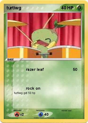 Pokemon turtiwg