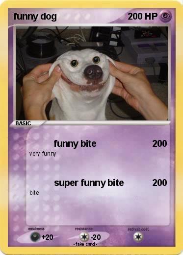 Pokemon funny dog