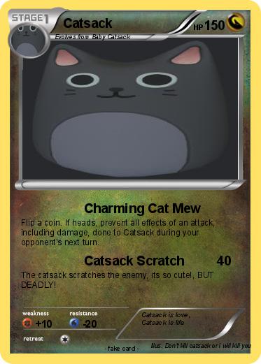 Pokemon Catsack