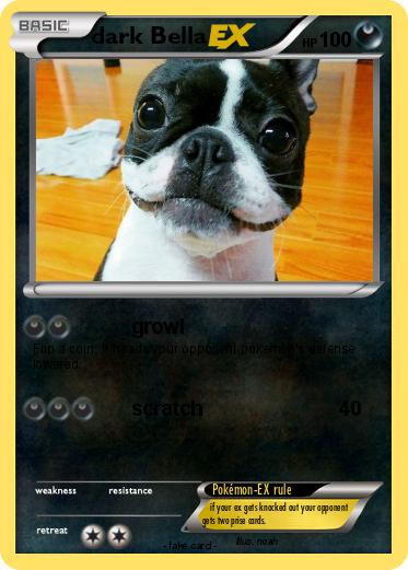 Pokemon dark Bella