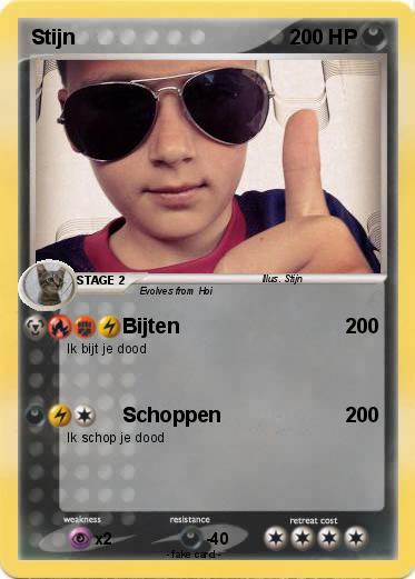Pokemon Stijn