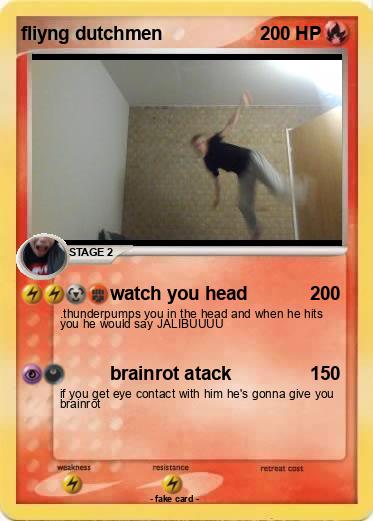Pokemon fliyng dutchmen