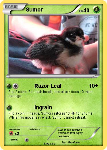 Pokemon Sumor