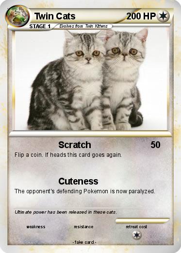 Pokemon Twin Cats