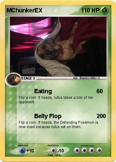 Pokemon MChunkerEX